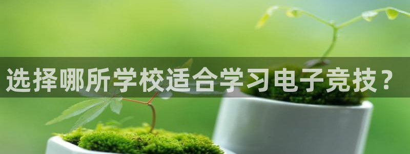 ky电竞馆：选择哪所学校适合学习电子竞技？