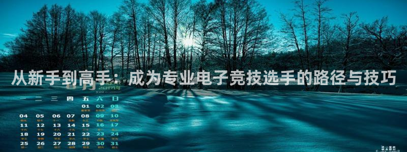 ky电竞馆：从新手到高手：成为专业电子竞技选手的路径与技巧