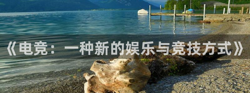 ky电竞：《电竞：一种新的娱乐与竞技方式》