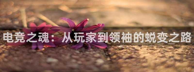 ky电竞馆：电竞之魂：从玩家到领袖的蜕变之路