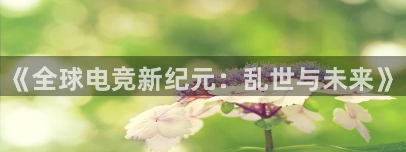 ky电竞：《全球电竞新纪元：乱世与未来》