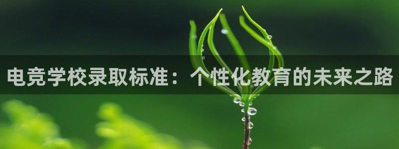 ky开元电竞