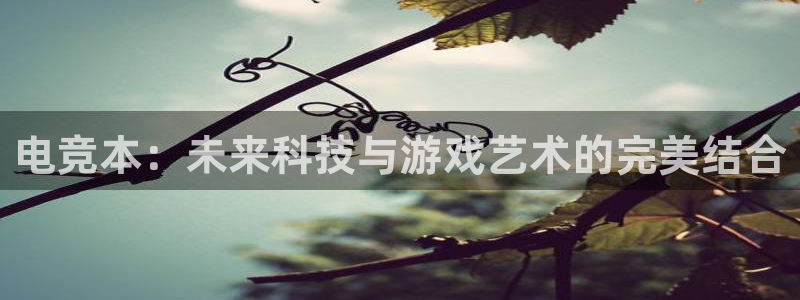 ky电竞馆：电竞本：未来科技与游戏艺术的完美结合