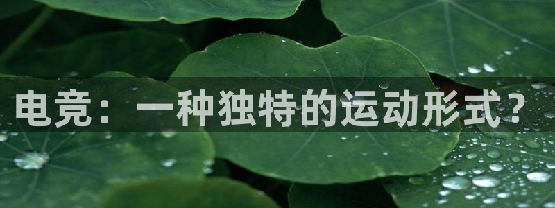 ky开元电竞：电竞：一种独特的运动形式？