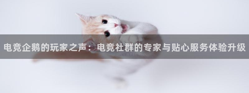 ky开元电竞：电竞企鹅的玩家之声：电竞社群的专家与贴心服务体验升级