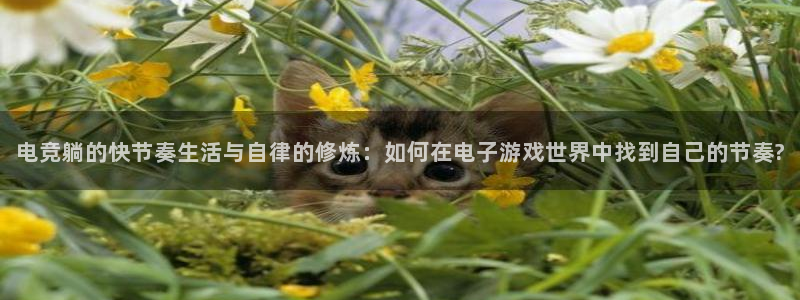 ky开元电竞：电竞躺的快节奏生活与自律的修炼：如何在电子游戏世界中找到自己的节奏?