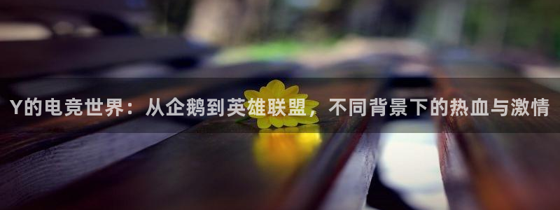 ky电竞：Y的电竞世界：从企鹅到英雄联盟，不同背景下的热血与激情