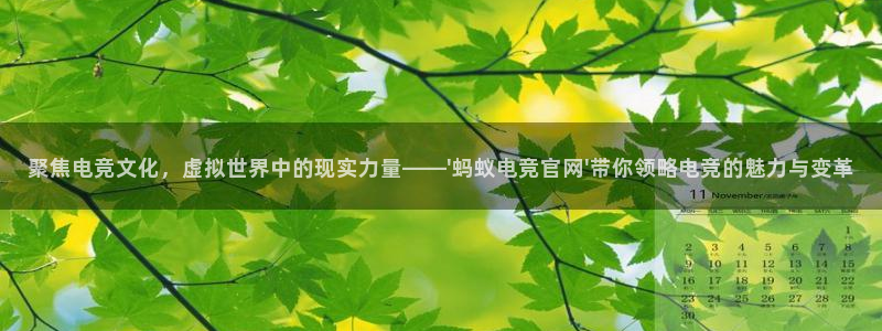 ky电竞馆：聚焦电竞文化，虚拟世界中的现实力量——\'蚂蚁电竞官网\'带你领略电竞的魅力与变革