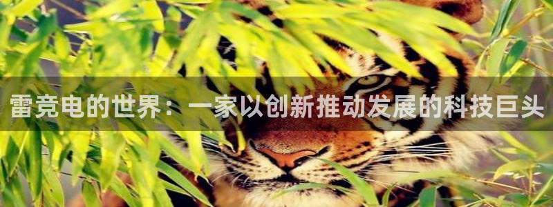 ky开元电竞：雷竞电的世界：一家以创新推动发展的科技巨头