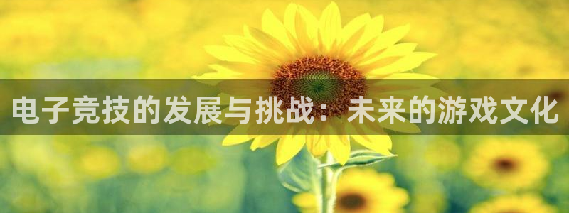 ky开元电竞：电子竞技的发展与挑战：未来的游戏文化