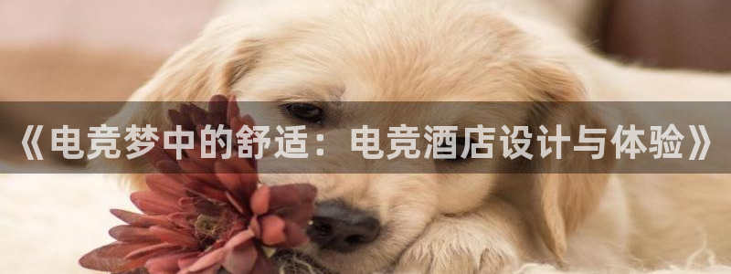 ky开元电竞：《电竞梦中的舒适：电竞酒店设计与体验》